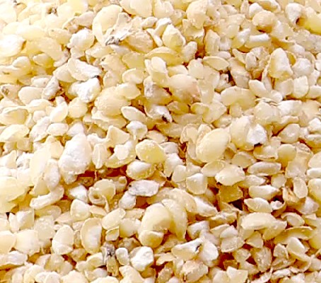 Sorghum Grains without Bran